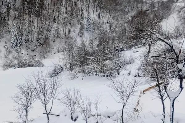 Alaçam Şirinköy Dürtmen Yaylası - Yürüyüş Alanı - Samsun 19 Mayıs