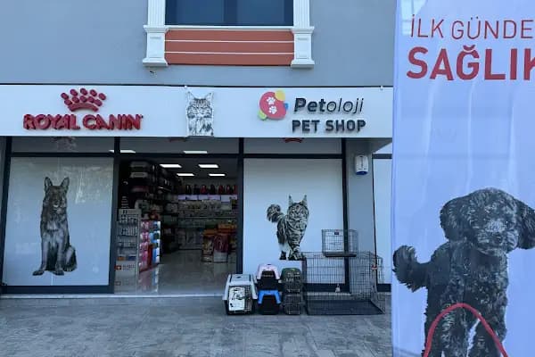 Petshop Petoloji Derince - Evcil hayvan mağazası - Kocaeli Başiskele