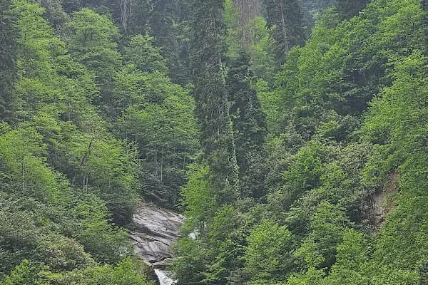 Altındere Vadisi Milli Parkı - Ulusal park - Trabzon Akçaabat