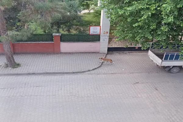 AKA'Y KİTAP KIRTASİYE - Kırtasiye Mağazası - Gaziantep Şahinbey