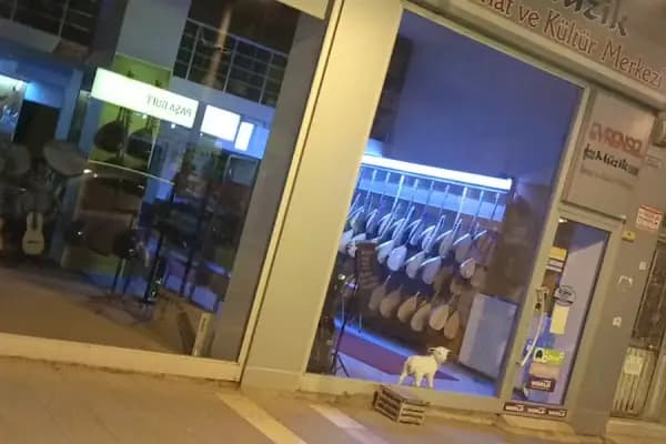 Evrensel Müzik - Müzik Mağazası - Malatya Darende