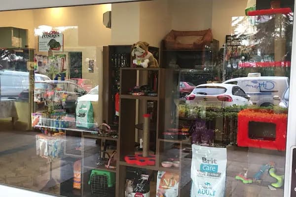 Viskypet Petshop - Evcil Hayvan Malzemeleri Mağazası - İstanbul Ataşehir