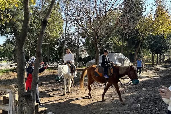 Mehmet Dayı At çiftliği - Yürüyüş Alanı - Adana Sarıçam