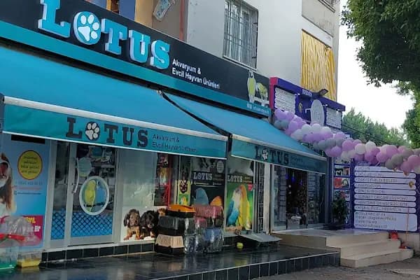 Çukurova Bisiklet Evi - Bisikletçi - Adana Aladağ