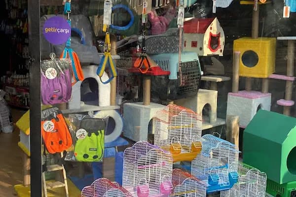 Mis PetShop - Evcil hayvan mağazası - İstanbul Bağcılar