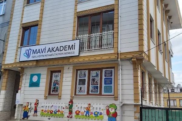Mavi Akademi Özel Eğitim ve Rehabilitasyon Merkezi - Eğitim Kurumu - İstanbul Küçükçekmece