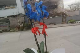 ATABERK ÇİÇEK ATÖLYESİ &amp; DAVET ORGANİZASYON