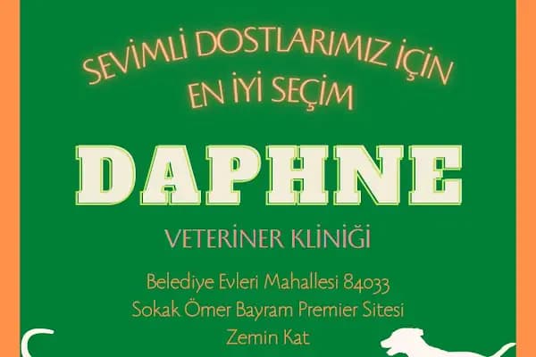 daphne veteriner kliniği - Veteriner - Adana Seyhan