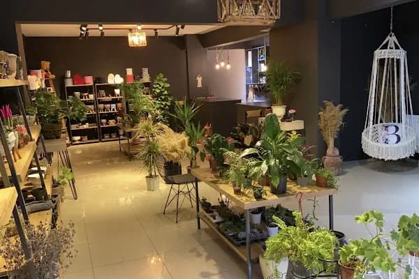 Acıpayam Berk Flower Design - Çiçekçi - Denizli Tavas