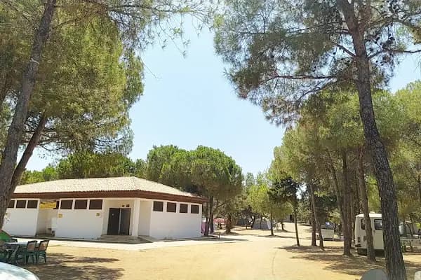 Tavşan Burnu Orman Kampı - Kamp Alanı - Aydın Kuşadası