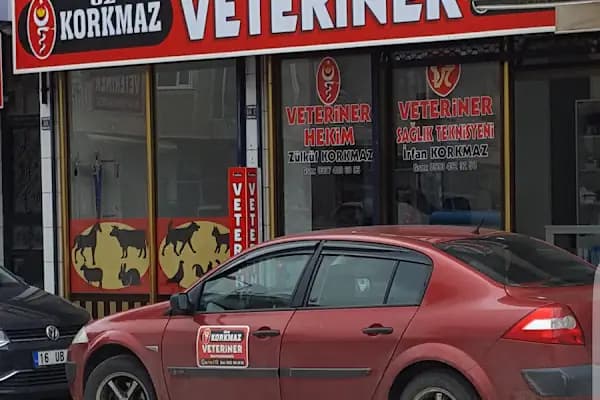 ÖZ KORKMAZ VETERİNER MUAYENEHANESİ - Veteriner - Bursa İnegöl