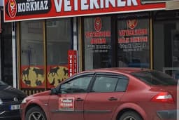ÖZ KORKMAZ VETERİNER MUAYENEHANESİ
