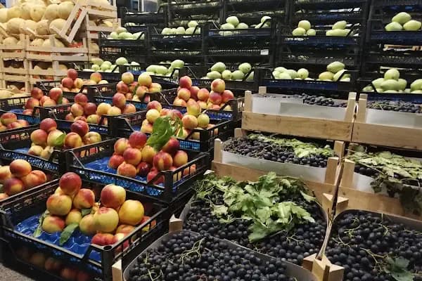 İBB-Bayrampaşa Sebze ve Meyve Hali - Yaş Meyve Sebze Toptancısı - İstanbul Başakşehir