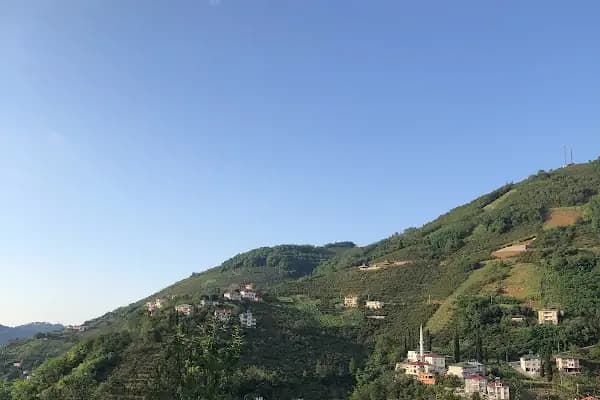 Muhcuoğlu mahalle - Tatil sitesi - Trabzon Akçaabat