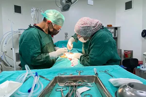 Op. Dr. Mehmet Yavuz Çapan - Doktor - Gaziantep Şehitkamil