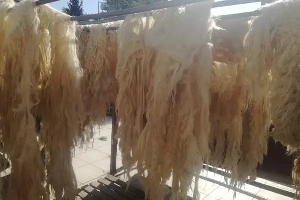Kırmızıyeşil temizlik hizmetleri - Halı Temizleme Hizmeti - Kahramanmaraş Afşin