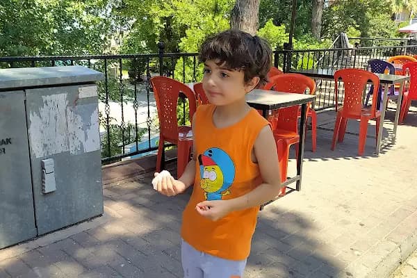 ÖZEL YENI NEHIR SÜRÜCÜ KURSU - Sürücü Kursu - İstanbul Küçükçekmece