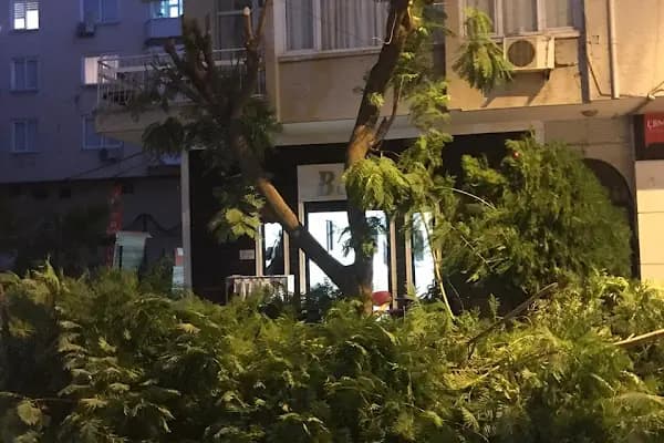 Akdeniz Belediyesi - Belediye Binası - Mersin Akdeniz