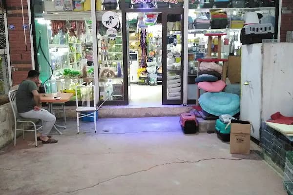 Boncuk petshop - Evcil Hayvan Malzemeleri Mağazası - Gaziantep Şahinbey