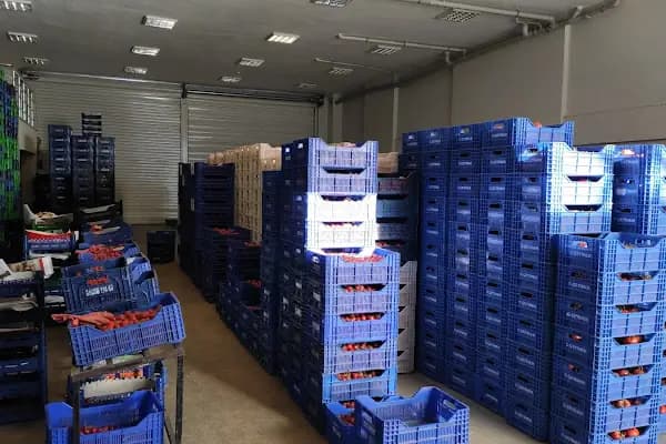 Hakim Ticaret - Yaş Meyve Sebze Toptancısı - Antalya Demre