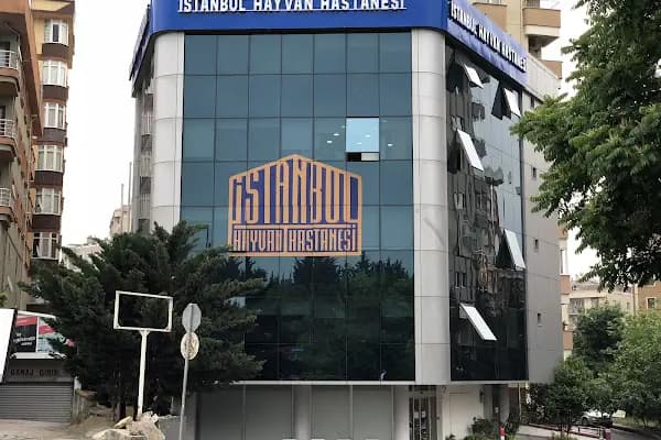 acıbadem ataşehir hastanesi - İlgi Çekici Yer - İstanbul Beylikdüzü