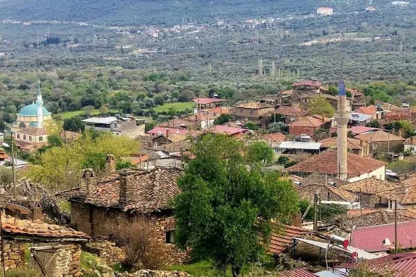 MAHALLE MUHTARLIĞI - Kamu Güvenliği Dairesi - Aydın Efeler