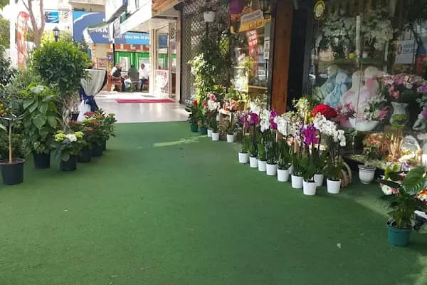 AS Çiçek - Çiçekçi - Antalya Muratpaşa