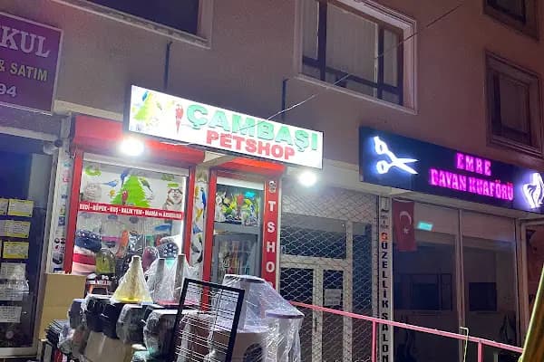 Çambaşı petshop - Evcil hayvan mağazası - Ankara Çankaya