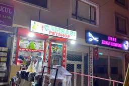 Çambaşı petshop