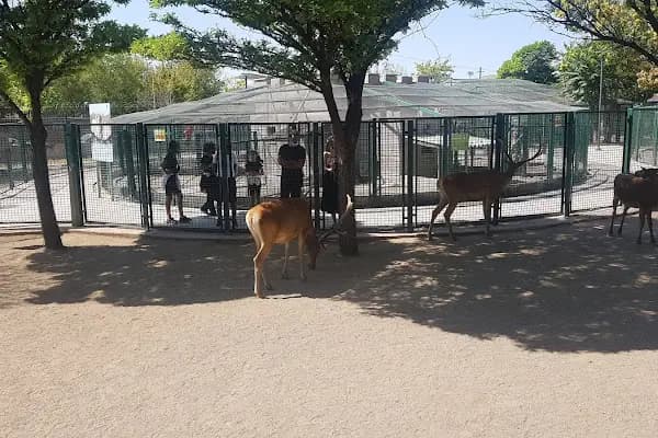 Evcil Hayvanlar Parkı - Otobüs Durağı - Ankara Sincan