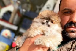 Loca store PETSHOP