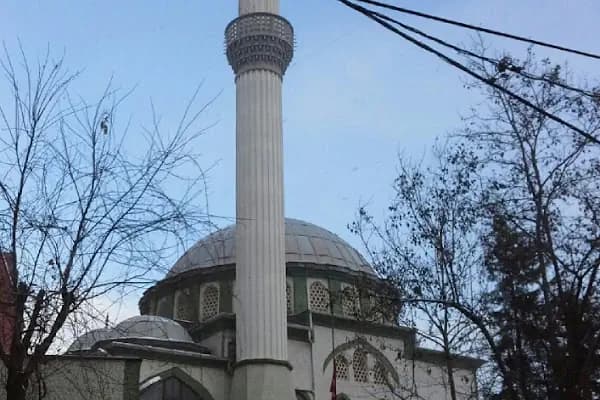 İmam Buhari Camii - Dini Kurum - İstanbul Avcılar