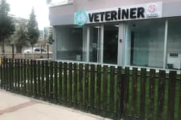 Vet 35 Veteriner Kliniği 7/24