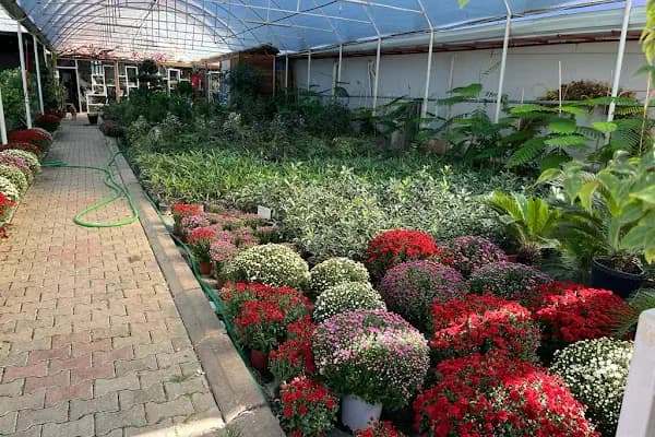 İkebana Çiçekçilik Peyzaj Organizasyon Dekorasyon - Çiçekçi - Antalya Alanya