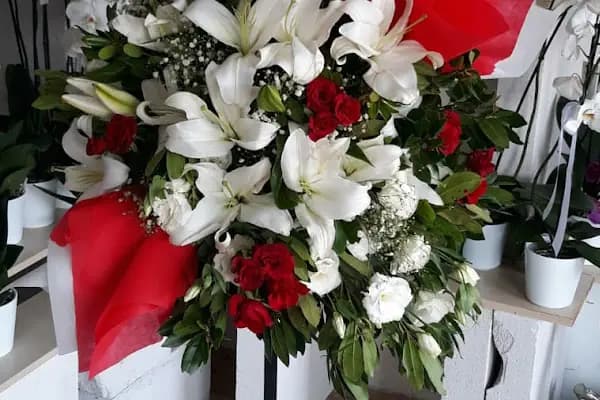 Rose çiçekçilik Avcılar - Çiçekçi - İstanbul Avcılar