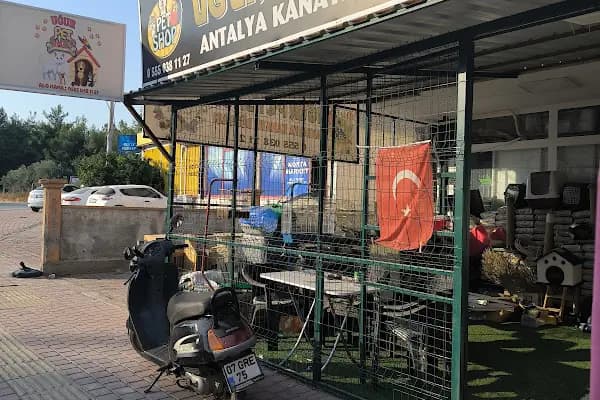 Uğur Petshop - Evcil hayvan mağazası - Antalya Kepez