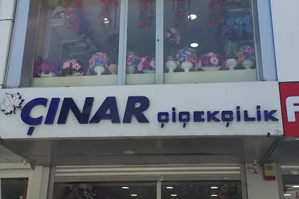 Çınar Çiçekçilik - Yapay Bitki Tedarikçisi - İstanbul Sultangazi