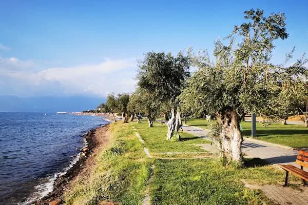 Pelitköy Bağlarburnu Sahili - Kumsal - Balıkesir Gömeç