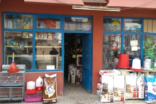 BİLGİN PETSHOP - Evcil Hayvan Malzemeleri Mağazası - Bursa Gürsu