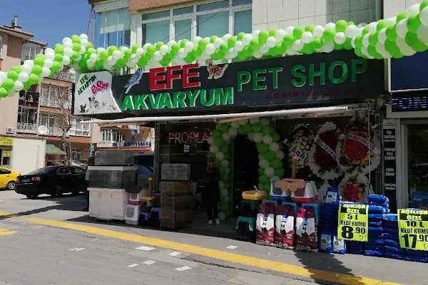 EFE AKVARYUM PETSHOP 2 - Evcil hayvan mağazası - Ankara Altındağ