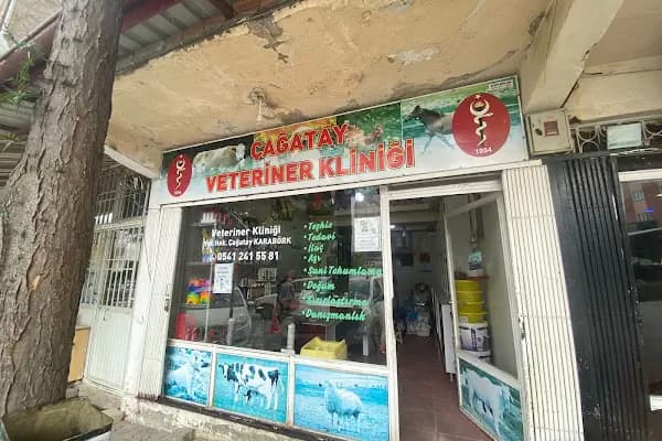 Çağatay Veteriner Kliniği - Veteriner - Kahramanmaraş Afşin