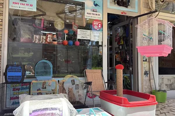 Ceren Petshop YENİKENT - Akvaryum Mağazası - Kocaeli Çayırova