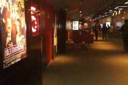 Paribu Cineverse Forum Trabzon