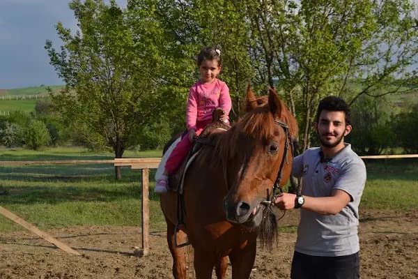 Altay At Çiftliği - At Binme Hizmeti - Ankara Çankaya