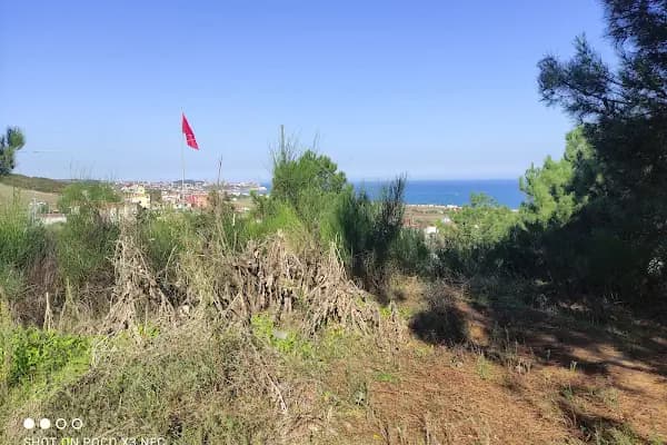 Yeniköy Aile Kabristanlığı - Mezarlık - İstanbul Arnavutköy