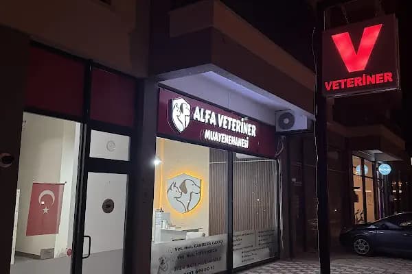 Alfa Veteriner Kliniği - Veteriner - Bursa Nilüfer