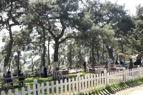 Loc'ada Büyükada - Restoran - İstanbul Adalar