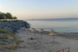 Public beach with umbrella