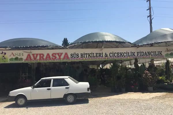 Avrasya Peyzaj , Süs Bitkileri ve İklimlendirme - Peyzaj Malzemeleri Satıcısı - İzmir Bayındır