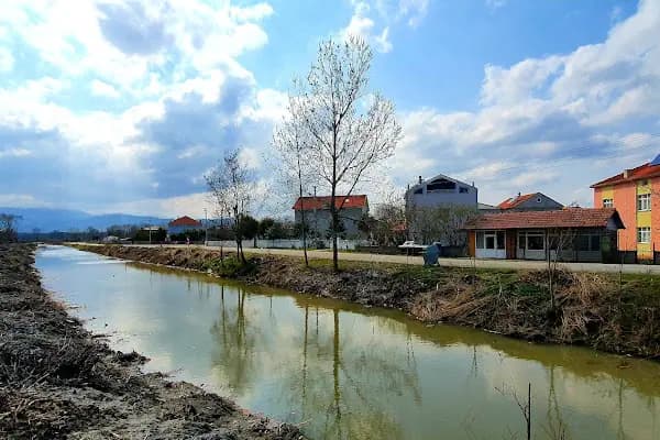19 Mayıs - Yerleşim Yeri - Samsun Canik